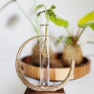 FUNKY WOOD PLANT PROPAGATION STATION